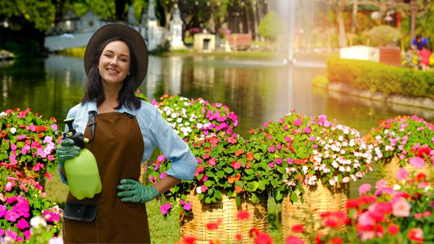 Haz un pesticida casero que dejará tus flores florecientes y sin plagas los 365 días