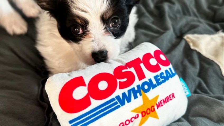 Costco: 3 ofertas imperdibles que tienes que aprovechar del 10 al 15 de septiembre