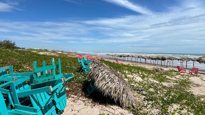 Peces muertos y daños severos: las consecuencias de la tormenta tropical "Francine" en Playa Miramar