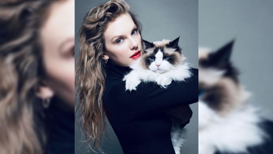 En su imagen, Taylor Swift se autonombró como una 'mujer con gatos y sin hijos'.