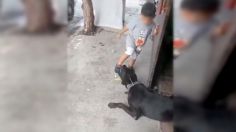 IMÁGENES INDIGNANTES: hombre incita a un niño a maltratar a un perro amarrado