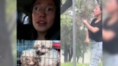 Mujer se vuelve viral tras arrancar un cartel en el que se anuncia la venta de cachorros: “Los animales no son objetos” | VIDEO