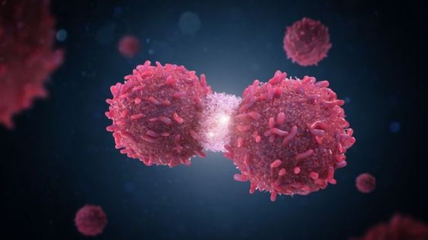 Estudio confirma la proteína que alimenta al cáncer