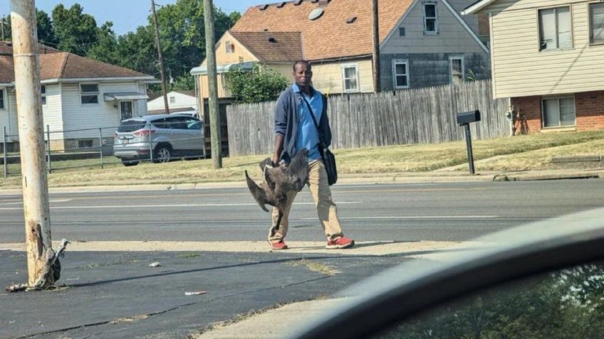 ¿Migrantes haitianos comen gatos y perros? De dónde salió la nueva fake news de Donald Trump