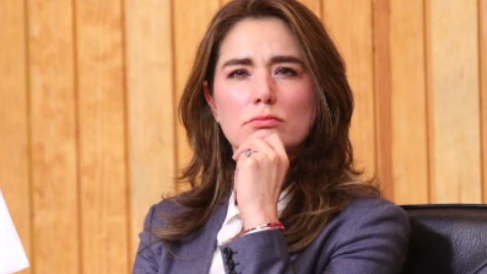 'A nosotros se nos vence el plazo para resolver este asunto el 13 de septiembre por eso mañana lo llevamos a sesión de Consejo General', relató Dania Ravel