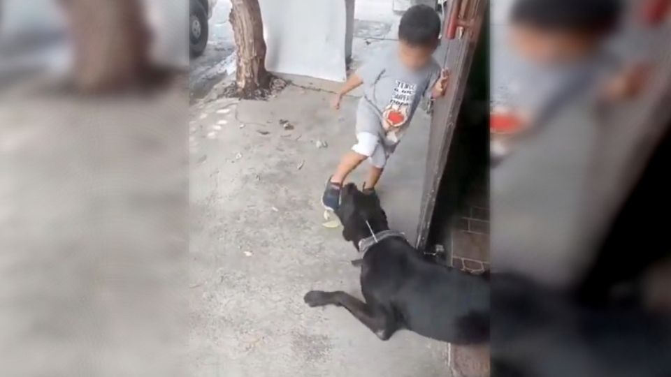 Un sujeto permitió a un niño maltratar a un perrito amarrado a la puerta de una vivienda en Nuevo León.