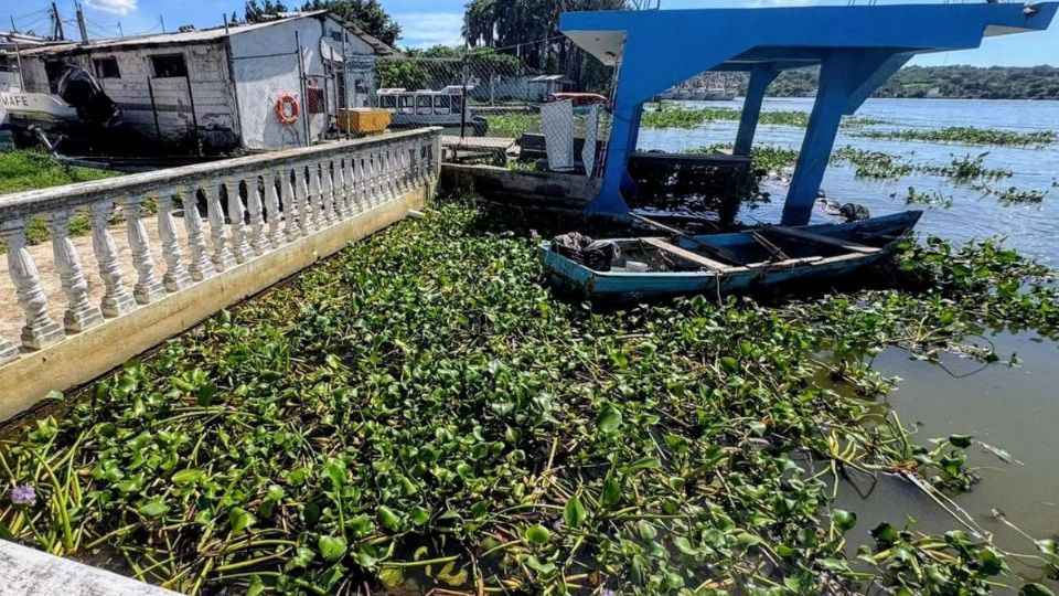 La problemática ha alcanzado a los pequeños productores.