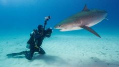 Fotógrafo enseña con tiburones cómo enfrentar los miedos