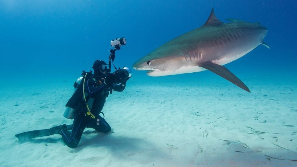 Gerardo del Villar tiene más de 18 años de experiencia como fotógrafo y buzo.