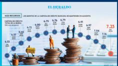 La cartera de crédito sube 10.73%