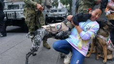 Agrupamiento canino de la Sedena enternece a los asistentes al desfile militar