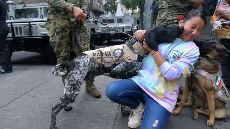 Los caninos se llevaron los reflectores durante el desfile militar