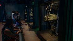 Nuevos dinosaurios llegan a CDMX: “Jurassic World The Exhibition”