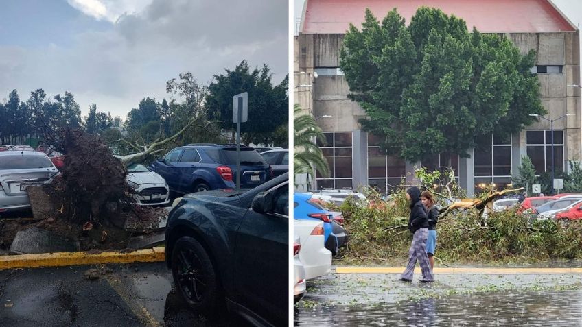 FES Aragón suspende clases por daños derivados de los vientos fuertes registrados en CDMX