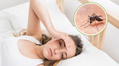 ¿Qué es lo más efectivo para combatir los mosquitos de noche?