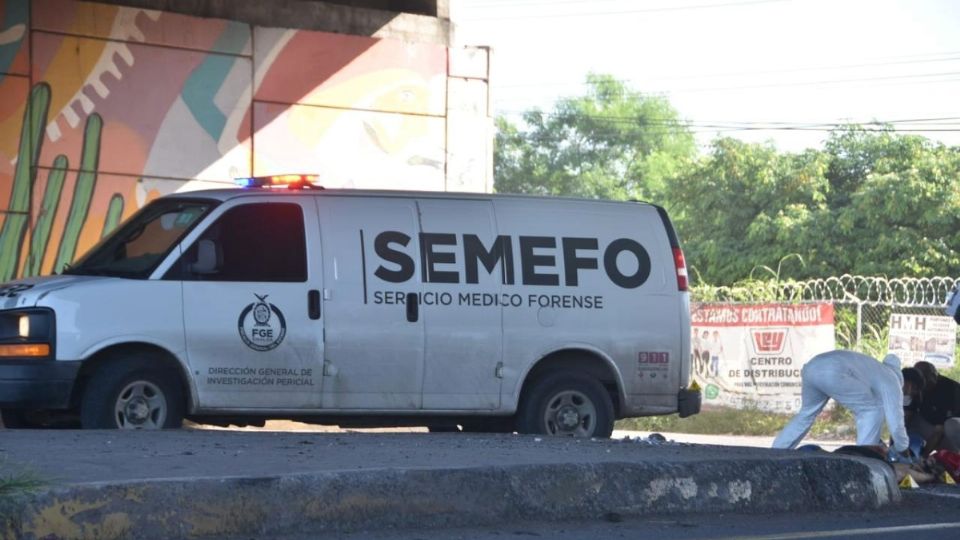 Siete cuerpos sin vida fueron encontrados en distintos municipios sinaloenses.