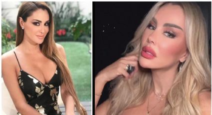 Ninel Conde reacciona a críticas por "cirugías" en su rostro, así ha cambiado desde Rebelde | FOTOS