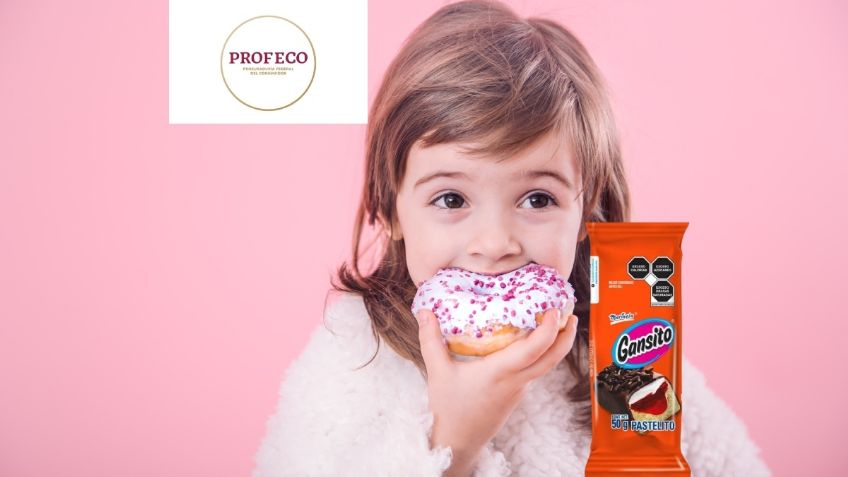 Gansito y Chocotorro, ¿cuántas calorías tienen estos pastelitos? Profeco advierte