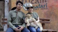 Africam Safari ofrecen cinco vacantes para trabajar en Puebla a cargo de animales