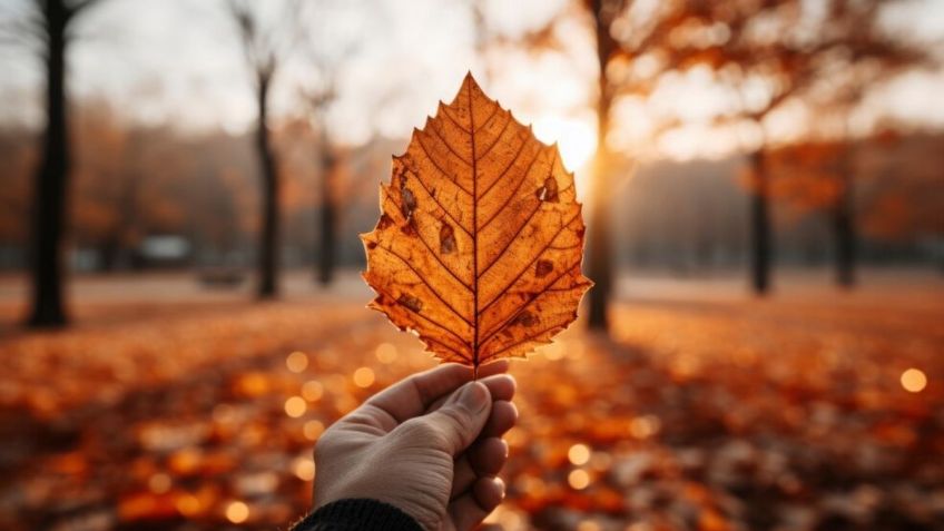 Equinoccio de otoño: esta es el profundo significado del cambio energético de la temporada