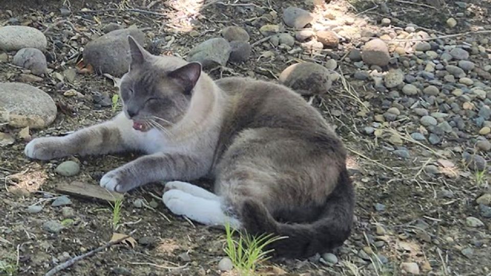 Rayne Beau perdió dos kilos en su increíble travesía.