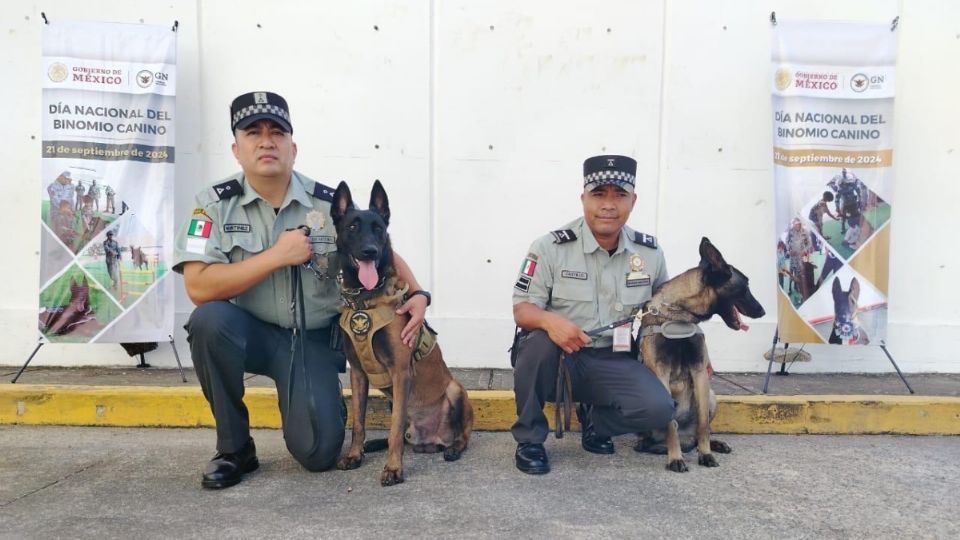 Destacan labores de los binomios caninos