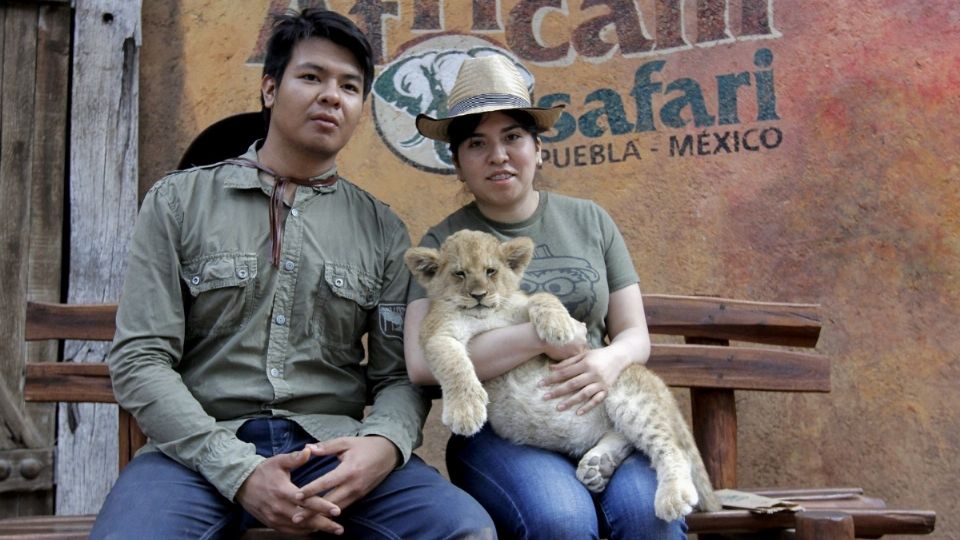 Nacimiento de cachorra en Africam Safari en Puebla