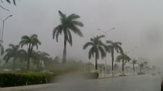 MAPA: Estas son las zonas de Guerrero donde hay suspensión de clases por el Huracán John