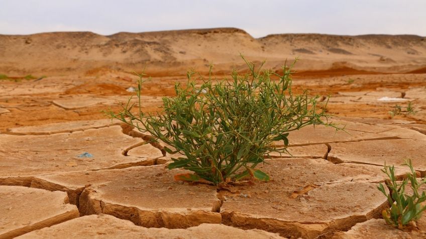 México, sede del II Congreso Internacional de Investigación y Cambio Climático