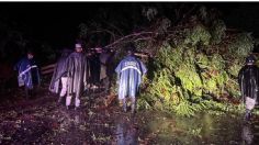 Inundaciones, socavones y cortes de luz: así se sintió la fuerza del huracán John en Costa Chica, Guerrero