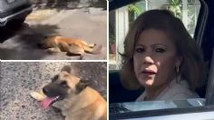 VIDEO: Captan a mujer arrastrando con su camioneta a un perro en Jalisco; dice que "está acostumbrado"