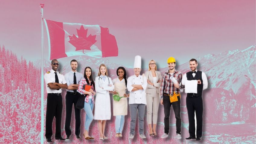 ¿Buscas empleo? Canadá solicita mexicanos que quieran ganar hasta 30 mil pesos mensuales