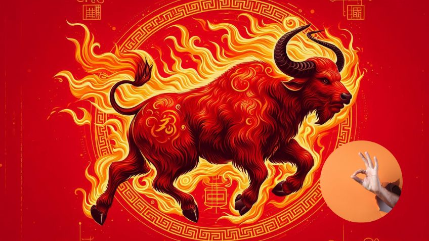 Horóscopo Chino: estos son los 3 animales más afortunados en las predicciones en la semana del Búfalo de fuego, según la astrología oriental