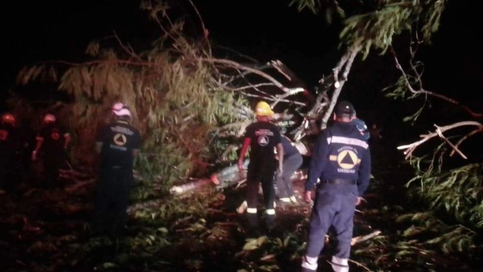 El paso del huracán John ha dejado decenas de árboles y postes derribados y fuertes precipitaciones.