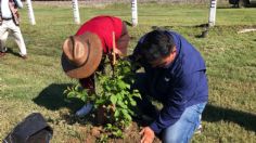 El gobierno de Altamira y medios de comunicación reforestan El Edén