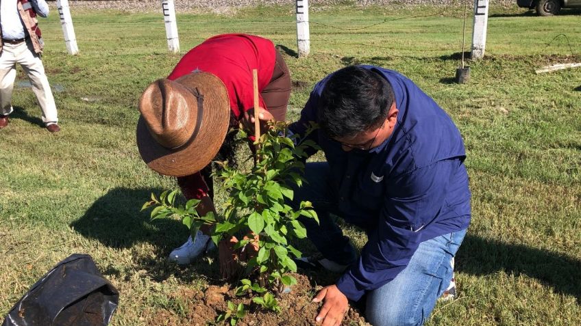 El gobierno de Altamira y medios de comunicación reforestan El Edén