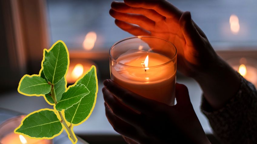 Esta es la cantidad de hojas de laurel que debes colocar alrededor de una vela para atraer la abundancia el último miércoles de septiembre