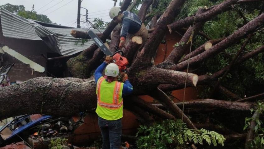 “Minitornado” destechó casas y dejó otros daños al sur de Veracruz