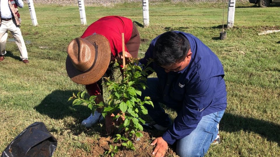 El gobierno local trabaja en brindar espacios verdes y proteger las áreas naturales