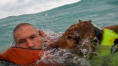 VIDEO: el conmovedor rescate de un hombre y su perro en el Golfo de México en medio del huracán Helene