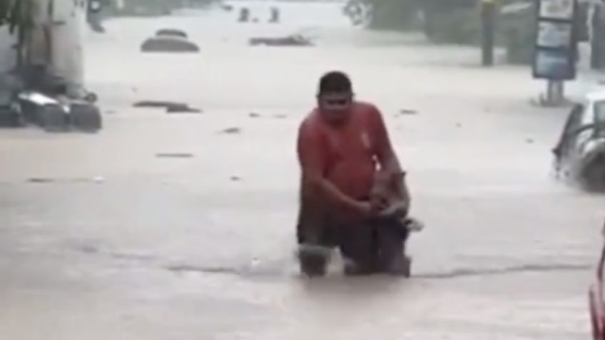 Captan en VIDEO el rescate de un perrito tras el paso de John en Acapulco