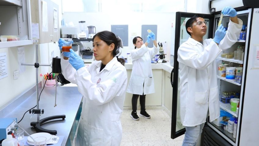 Ofrece UANL Licenciatura en Microbiología en Higiene Alimentaria