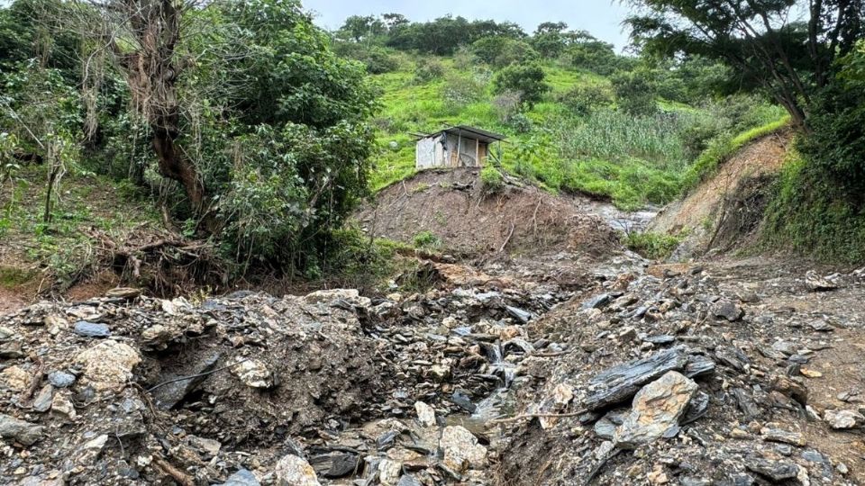 El Mamey en Tejupilco