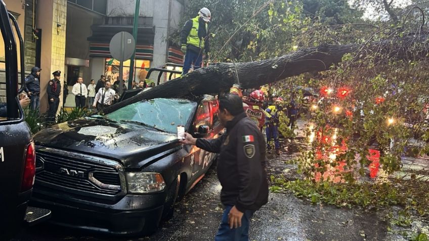 VIDEO: momento exacto en el que un enorme árbol aplasta una patrulla en la colonia Juárez tras las fuertes lluvias