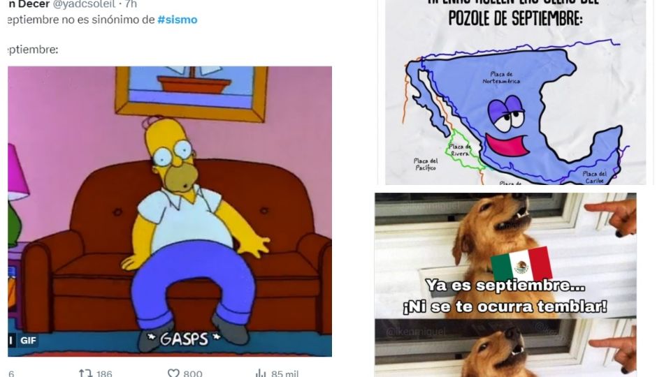 Los memes no podían faltar