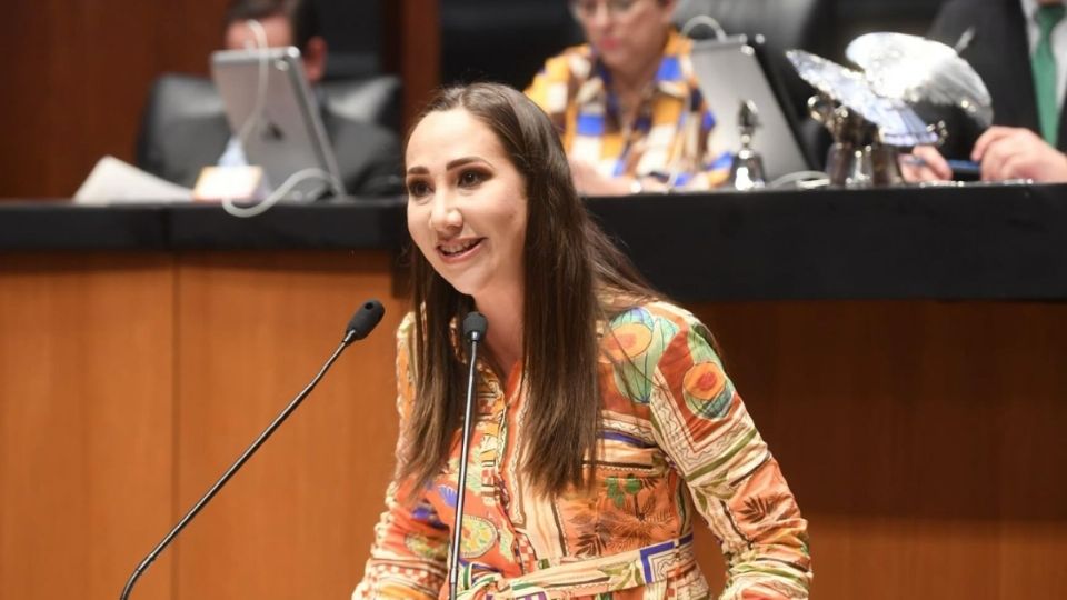 Noemí Luna es Coordinadora del PAN en la Cámara de Diputados.