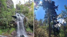 La cascada mágica en CDMX que tiene acceso en metro y que está rodeada de bosque