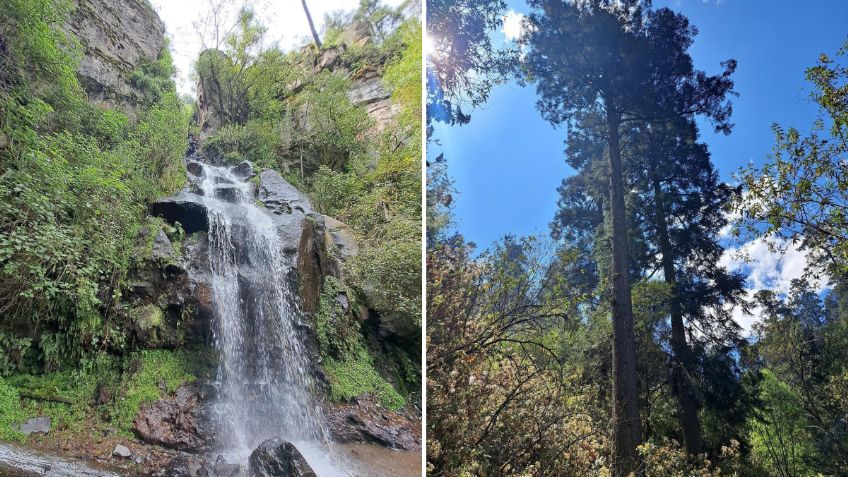 La cascada mágica en CDMX que tiene acceso en metro y que está rodeada de bosque