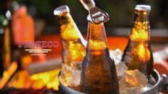 8 cervezas y bebidas de malta con más azucares, según la Profeco