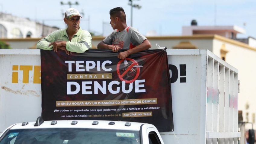 Tepic no da tregua al dengue: arrecia las medidas contra el mosquito Aedes aegypti